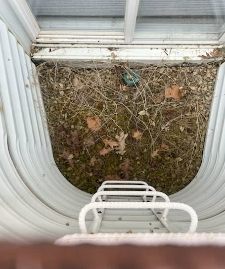 Window Well Clean Up