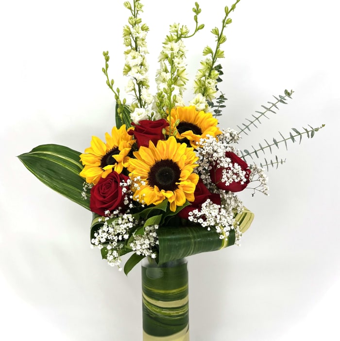 SUNFLOWER SPLENDOR