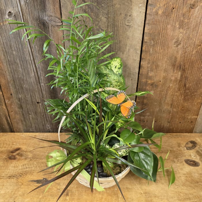 Beautiful Basket Garden BG49