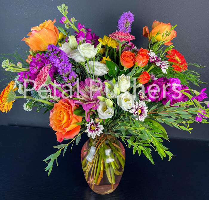 Wildly Colorful