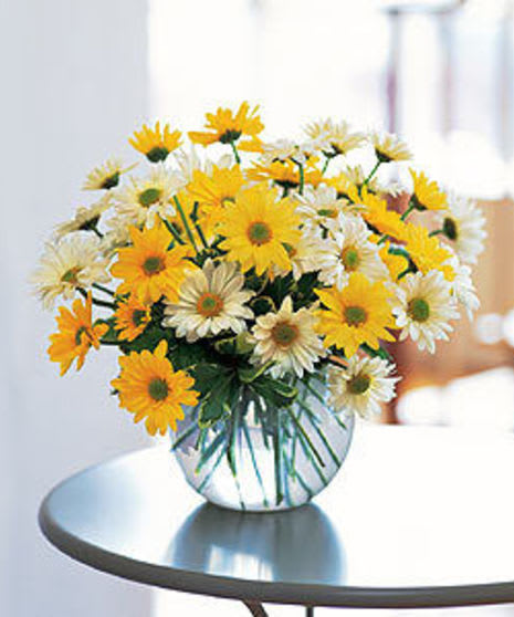 Florist’s Choice –Special Vase Arrangement