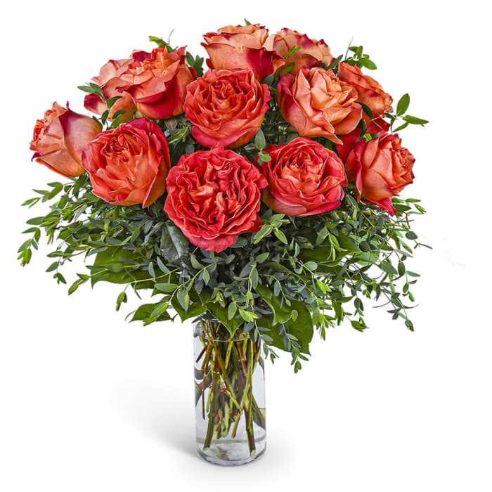 One Dozen Wild Spirit Roses