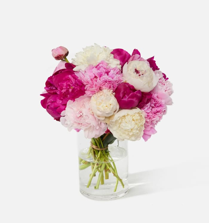 Premium Alaskan Peonies (Limited Availability)