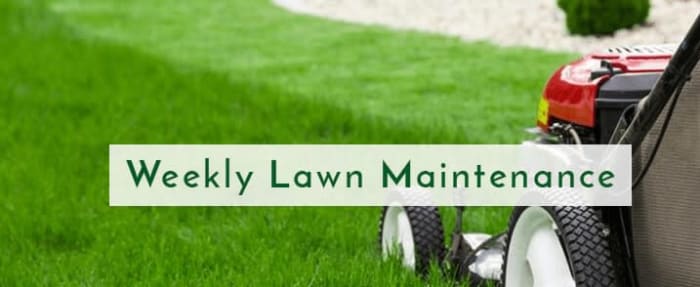 Commercial Lawn Maintenance