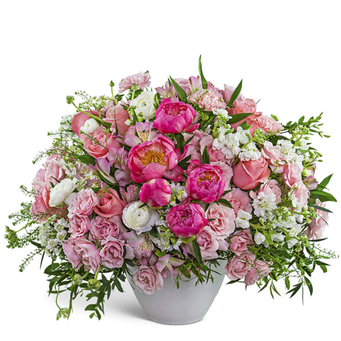 Provence Peony Garden