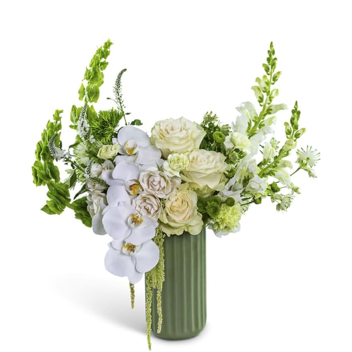 Cashmere Orchid Moment