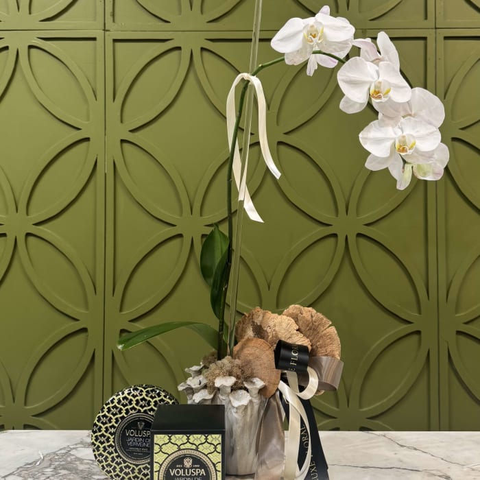 Orchid