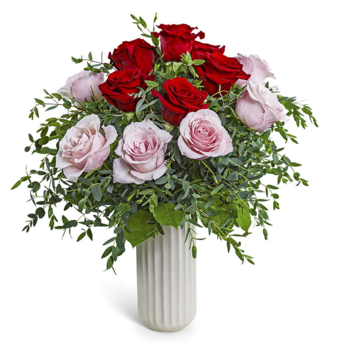 One Dozen Pink and Red Roses