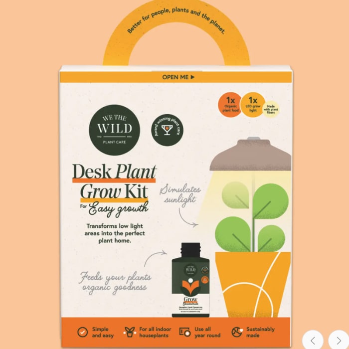 Desk Plant Grow Kit