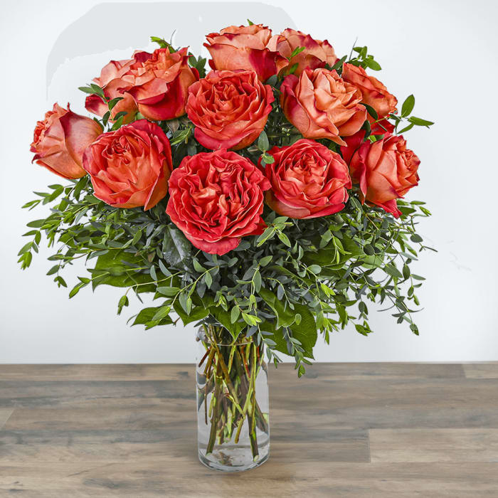 One Dozen Wild Spirit Roses