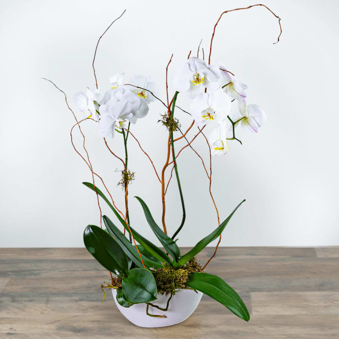 Luxe Double Orchid