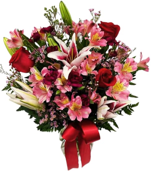 Stargazer Kiss V-1482