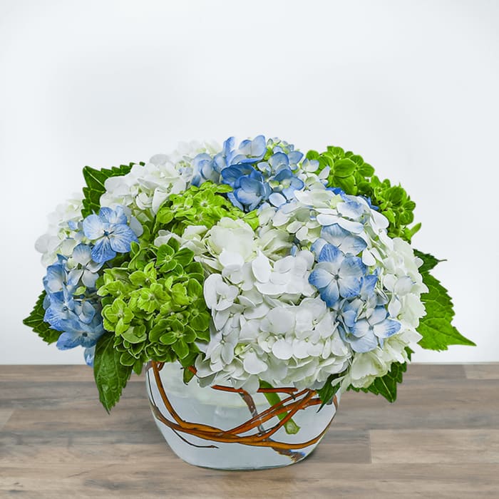 Dreamy Hydrangea