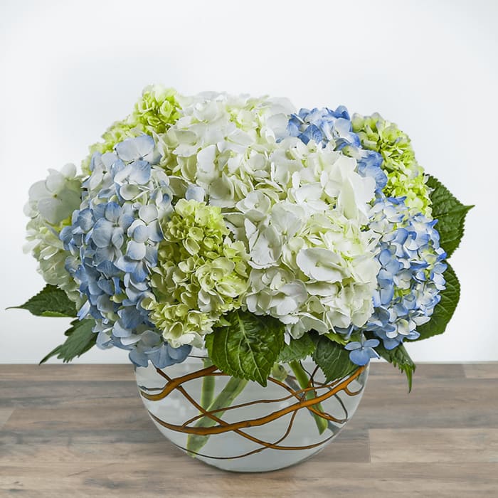 Modern Hydrangea