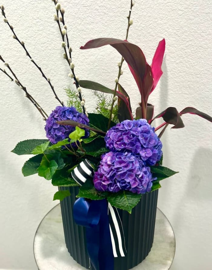 Designer's Choice Outdoor Plant