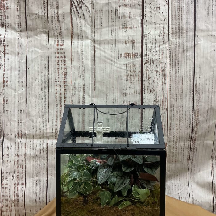 Terrarium with plants