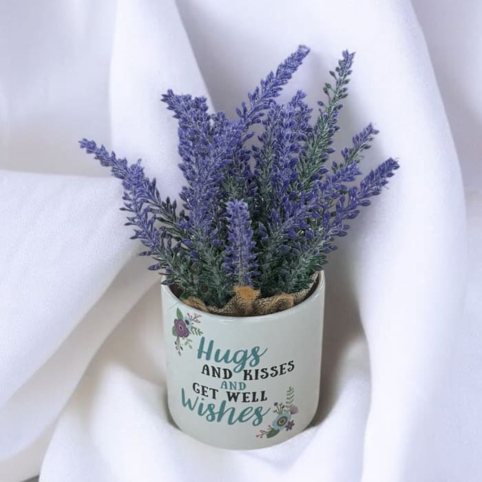 Get Well Wishes Faux Succulent