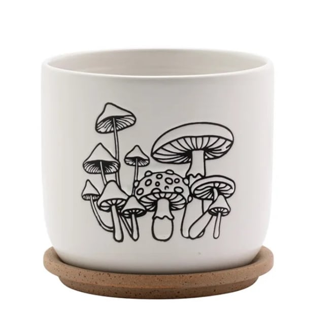 Back/White w/ Mushroom Planter