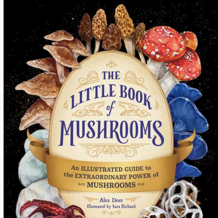 Little Book of Mushrooms By Alex Dorr Book
