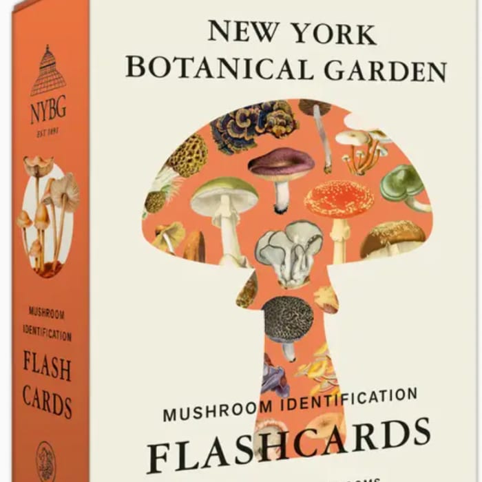 New York Botanical Garden Mushroom Identification Flashcards
