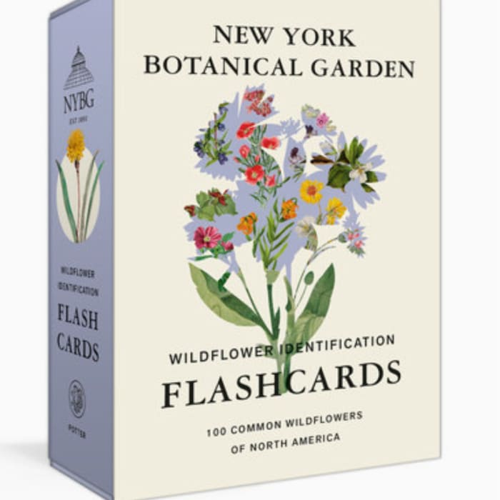 New York Botanical Garden Wildflower ID Flashcards