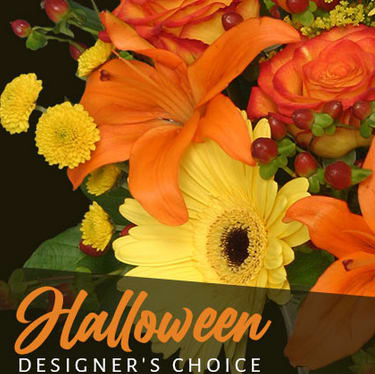 Halloween-Designer's Choice