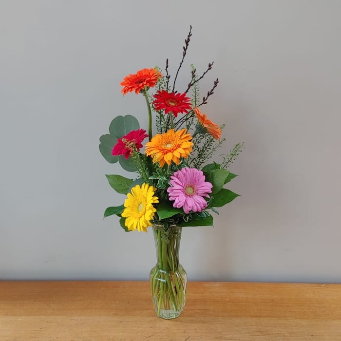 Germini Budvase