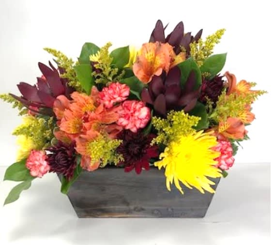 Fall in a Box