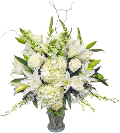 Pure Opulence L-1268