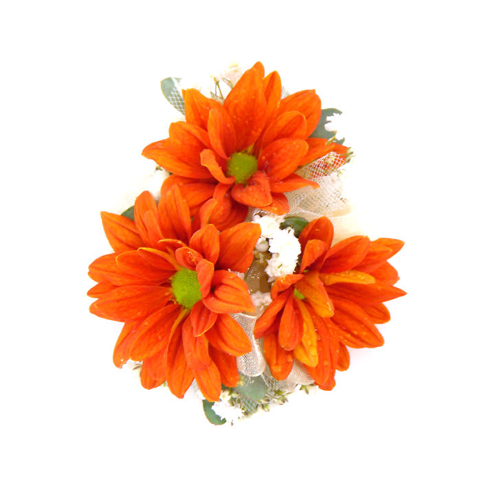 Orange Daisy Wrist Corsage