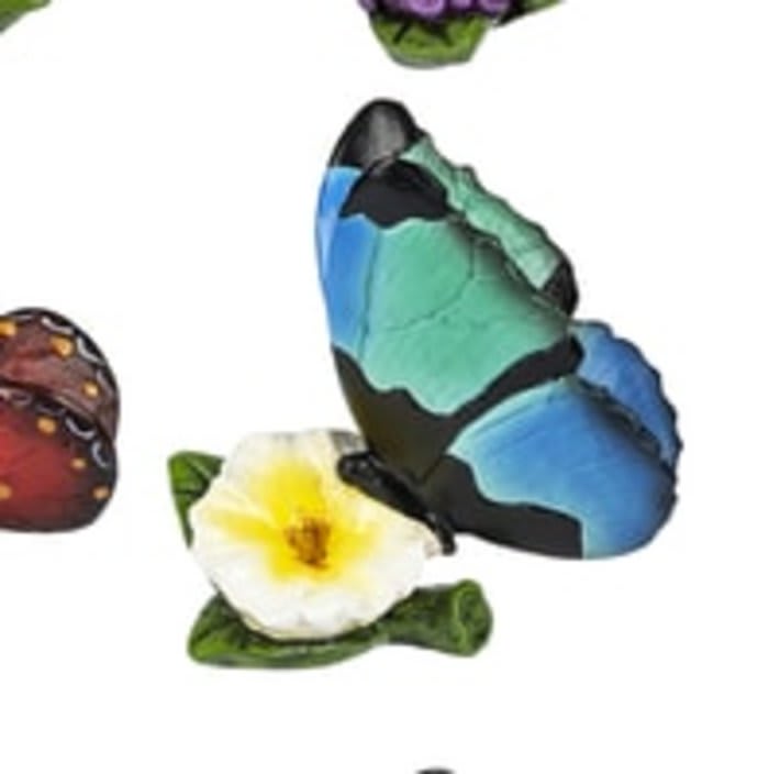 September Butterfly of the Month