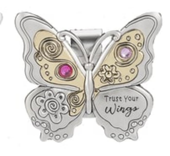 Trust your Wings-Visor Clip