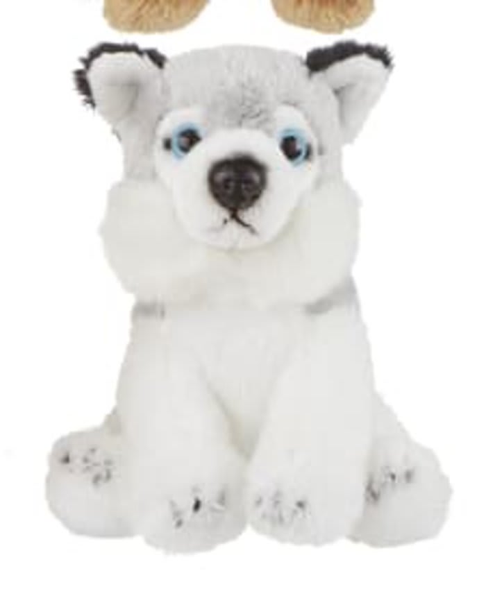 Siberian Husky Mini Dog