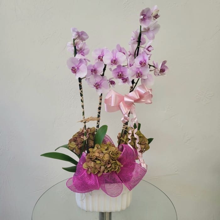Three Stem Orchid