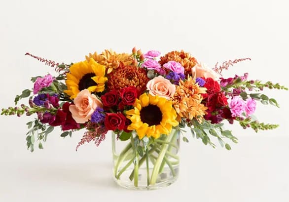 Harvest Melody