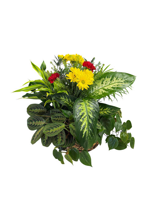 Large Dish Garden with Fresh Flowers