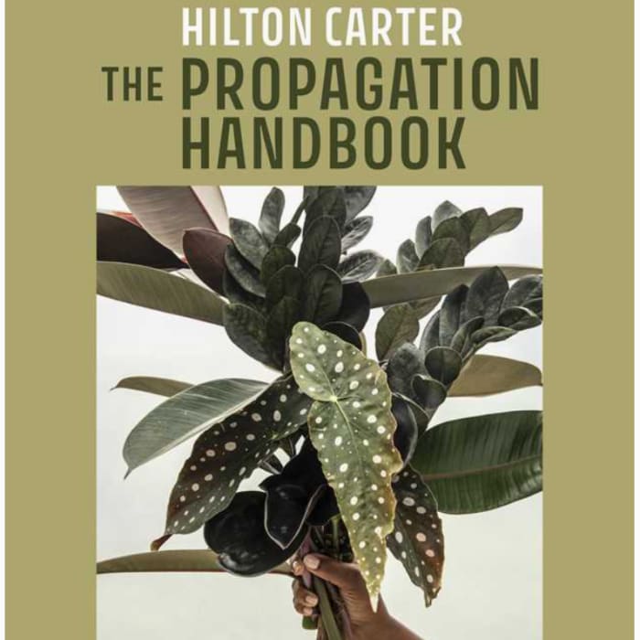 Propagation Handbook By Hilton Carter
