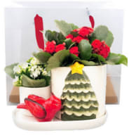 Scarlet 2 Piece Ceramic Planter for Holidays