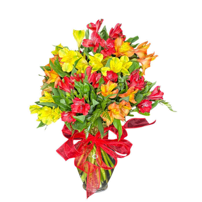 Sunset Alstroemeria
