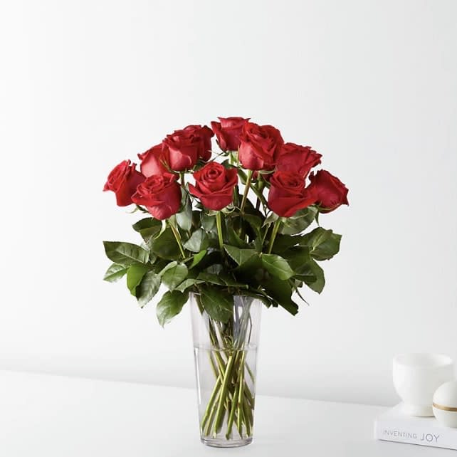 Red Roses