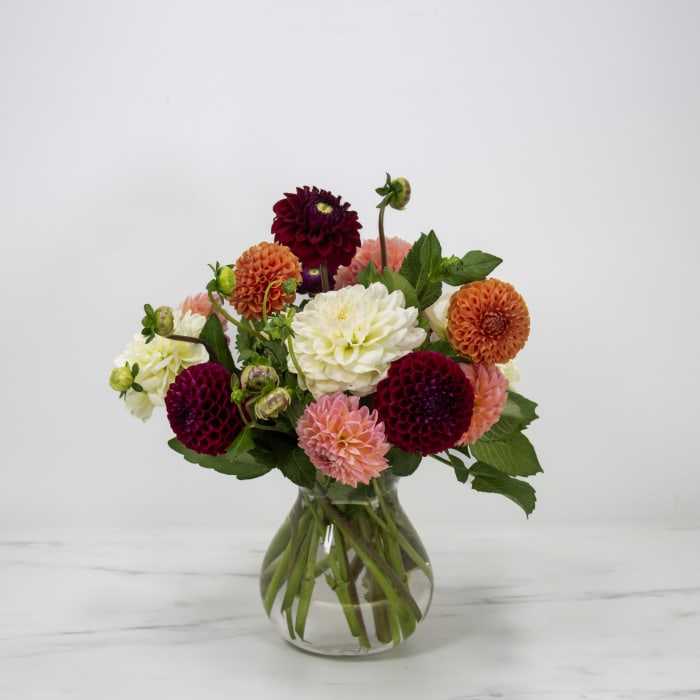 Simply Dahlias