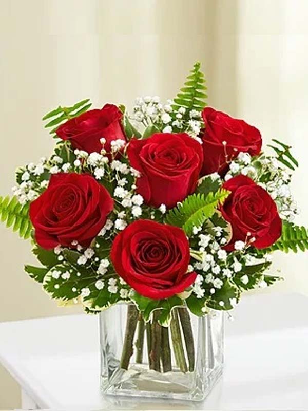 Classic Elegance Roses – Six Red