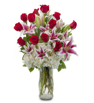 Splendor of Love