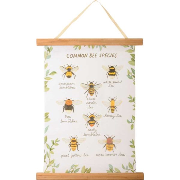 Wall Decor – Common Bee Species