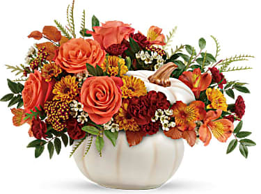 ENCHANTED FALL HARVEST