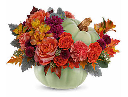 STUNNING SAGE HARVEST