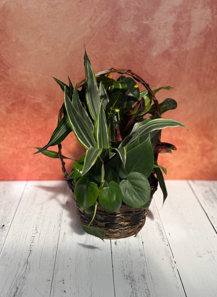 6" Wicker Basket Dish Garden