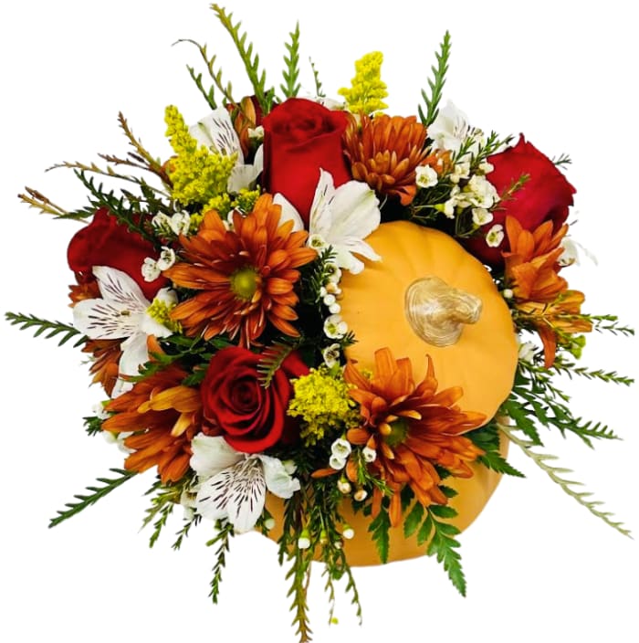 Pumpkin Kisses IF-5039