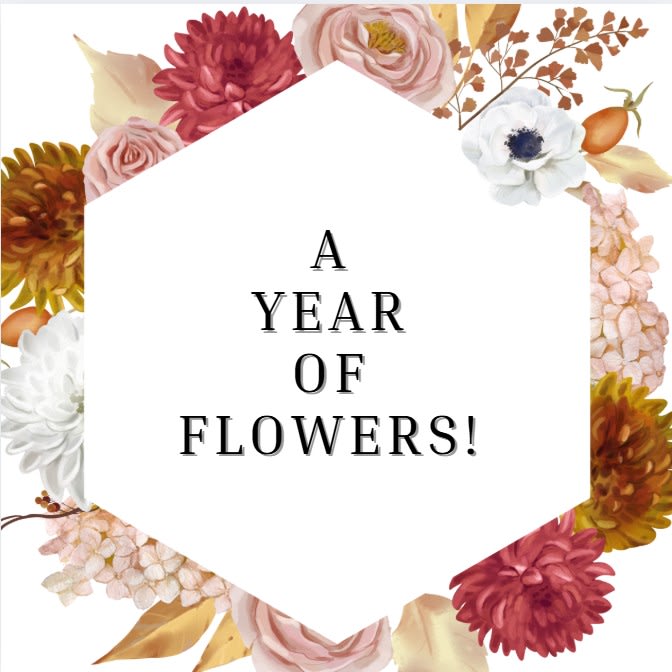 A year of Flowers!