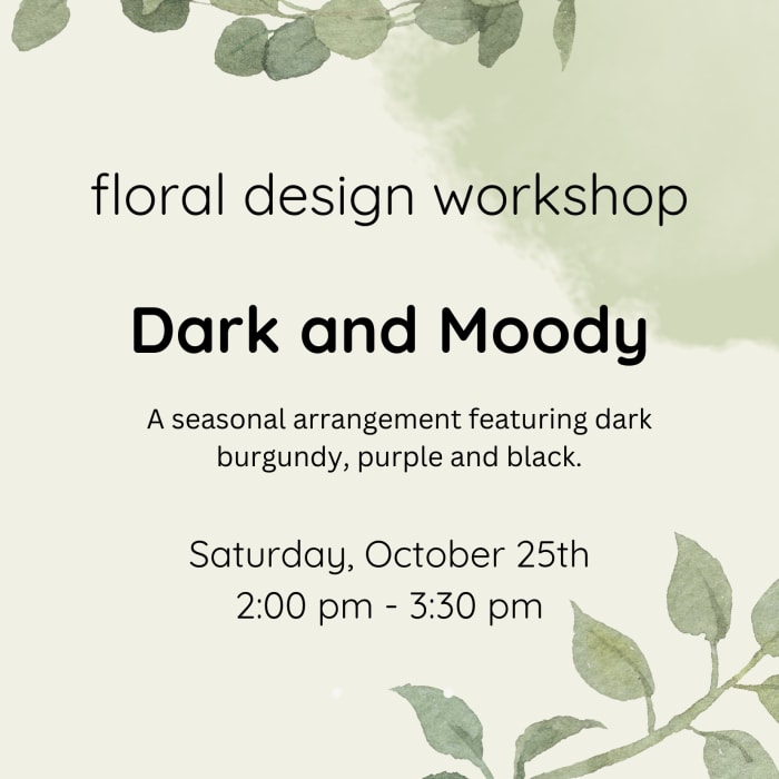 Workshop October 25th- Dark and Moody 2:00pm